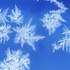 Snow Day Photo&nbsp;Challenge!